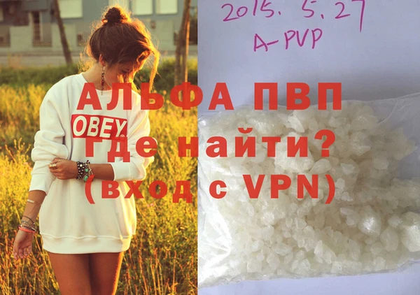 соль ск Белокуриха