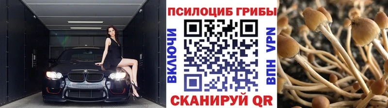 blacksprut ссылки  Луховицы  Псилоцибиновые грибы ЛСД 