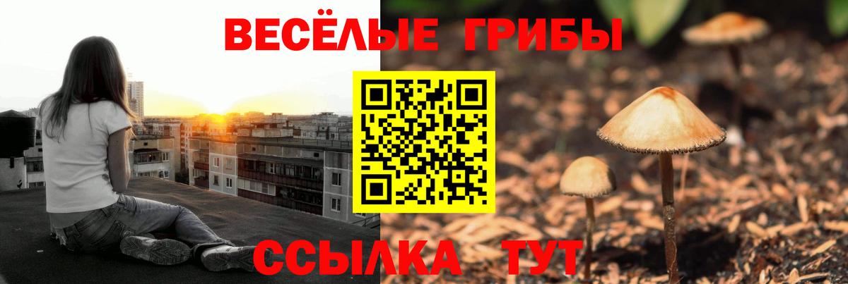 Псилоцибиновые грибы Cubensis Луховицы